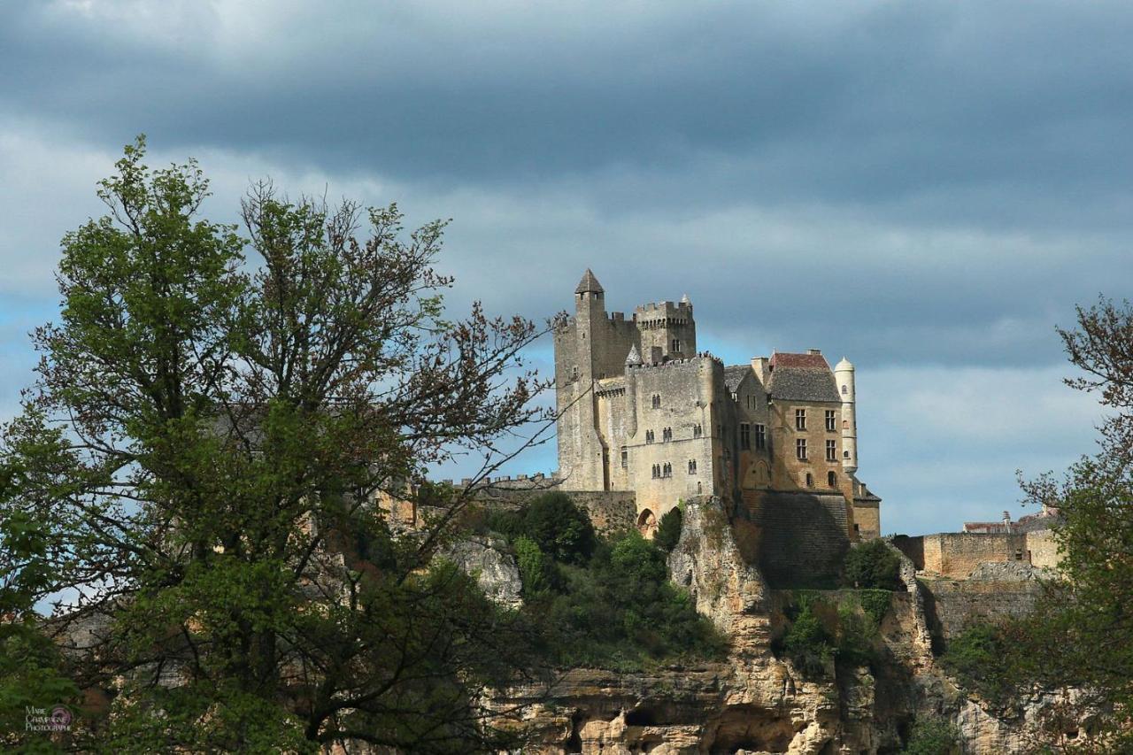 Au Coeur De Beynac, Superbe Maison Du 14Eme Siecle Avec Jardin Panoramique Экстерьер фото